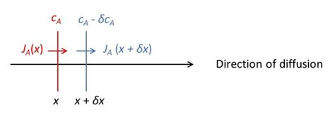 19.15 The diffusion equation – Thinking about Science with David Hukins