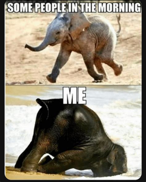 Need Coffee :/ | Elephants | Know Your Meme