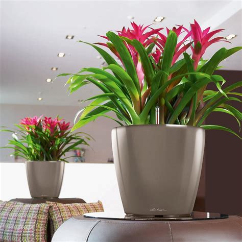 Artificial Office Plants To Brighten Up Your Office | Simply Plants