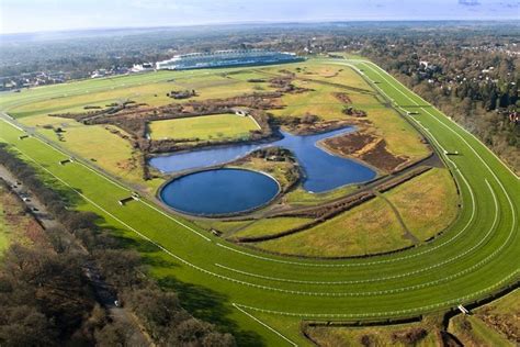 Horse Racing Ground & Track Types Explained: | Caan Berry