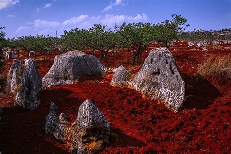 Stone Forest Shilin Rock - Free photo on Pixabay - Pixabay