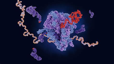 Logistical Considerations in mRNA Vaccine Development