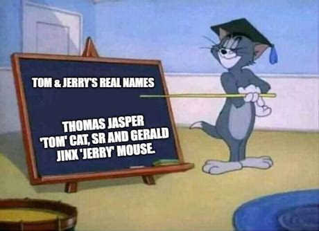 Tom the Cat Meme: Hài Hước và Ngộ Nghĩnh [Click ngay để xem thêm!] - Chùa Phước Huệ