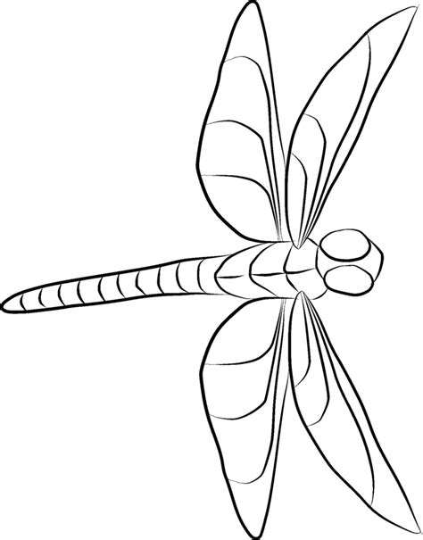 Line Drawing Dragonfly at GetDrawings | Free download