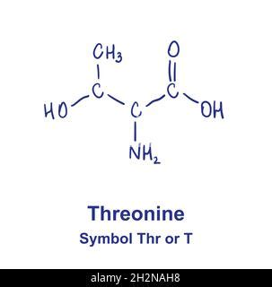 Threonine is an amino acid. Chemical molecular formula of threonine amino acid. Vector ...