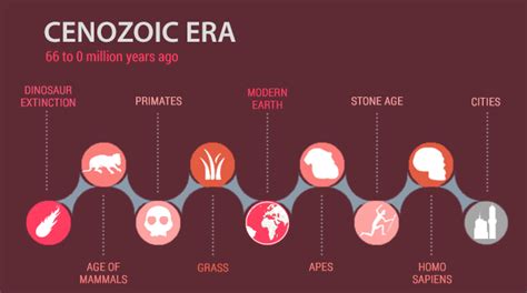 The Cenozoic Era: From Dinosaur Extinction to Human Evolution - Earth How