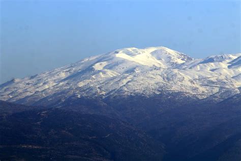 There is Snow on Mount Hermon Stock Photo - Image of tree, landscape: 109182982