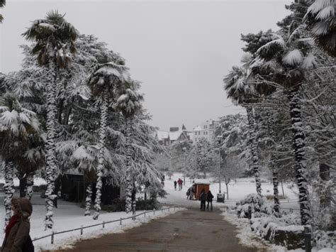 Bournemouth: palm trees in the snow © Chris Downer cc-by-sa/2.0 :: Geograph Britain and Ireland