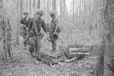 277 Vietnam War Casualties Stock Photos, High-Res Pictures, and Images ...