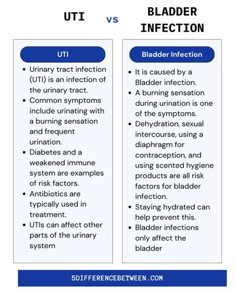 5 Difference Between UTI and Bladder Infection | UTI vs Bladder Infection