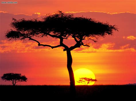 Nature: Masai Mara Game Reserve At Sunset Kenya, picture nr. 18620