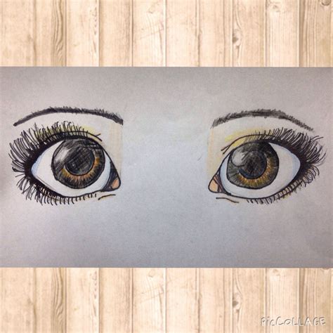 Brown eyes drawing