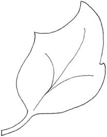 Free Leaf Pattern Cliparts, Download Free Leaf Pattern Cliparts png ...