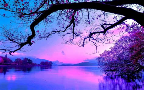 🔥 [90+] Purple Sunset Wallpapers | WallpaperSafari