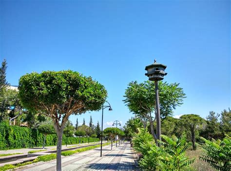 Manavgat Hotel Complex Road Bird - Free photo on Pixabay - Pixabay