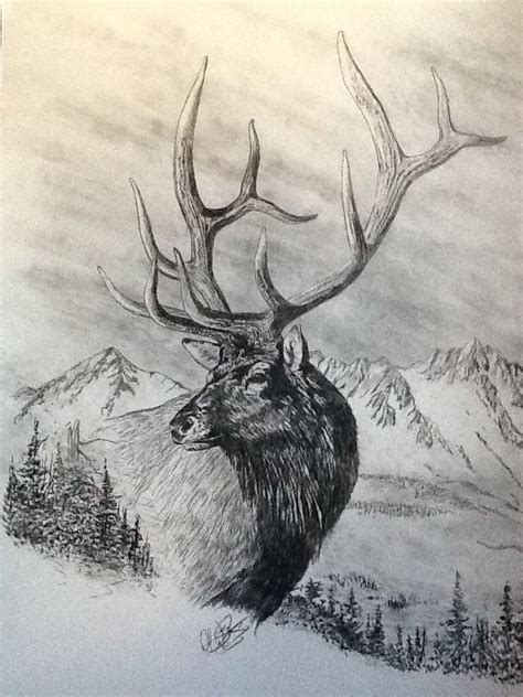 Pencil Drawings Of Animals, Animal Sketches, Art Drawings Sketches, Elk ...