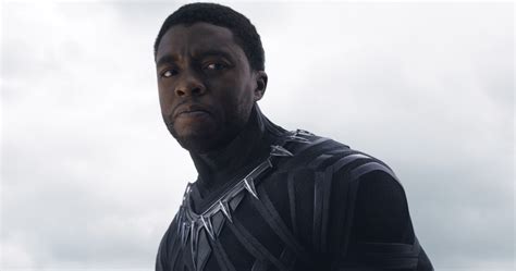 Black Panther Ruled 'Captain America: Civil War'