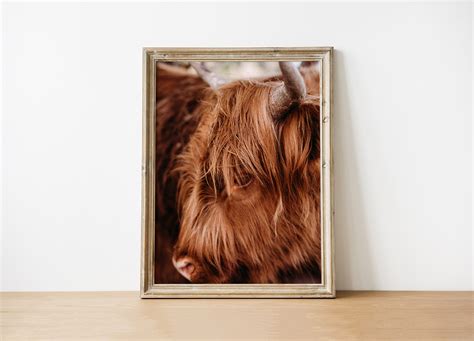 Longhorn Cow Digital Download Cow Art Longhorn Photography Rustic Wall ...