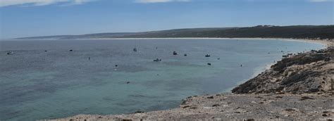 Hamelin Bay Beach: Western Australia's South West Treasure