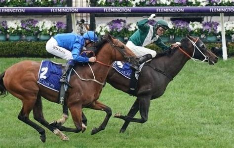 Coolmore Stud Stakes 2022 | Betting Guide & Race Info - RacingBase