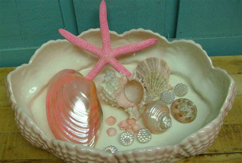 Pink Seashell Collection Polished Clam Turbo by CastawaysHall