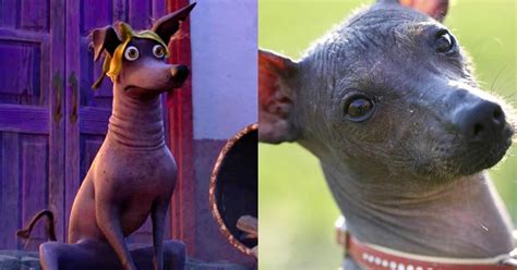 10 Cool Facts About Xolos - The Dog From Disney's 'Coco'