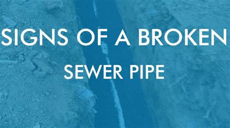 Signs of A Broken Sewer Pipe Melbourne - PlumberNearby