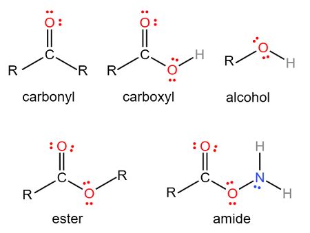 Draw Lewis structures for these functional groups. Show all valence electrons on each. (a ...