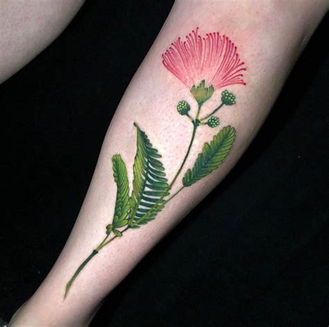 Mimosa Flower Tattoo Design Ideas | Flower tattoo designs, Tattoos ...