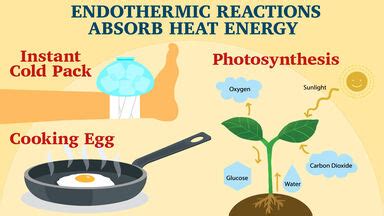 Understanding Chemistry Examples Of Endothermic Reactions - Asking List