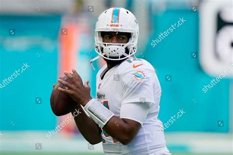 MIAMI DOLPHINS QUARTERBACK JACOBY BRISSETT 14 Editorial Stock Photo ...