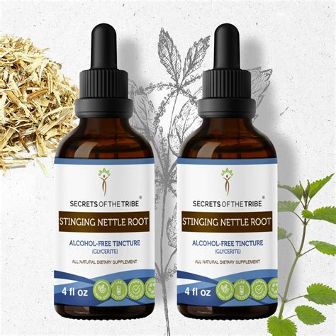 Stinging Nettle Root Tincture Alcohol-FREE Extract, Organic Stinging Nettle Urtica Dioica ...