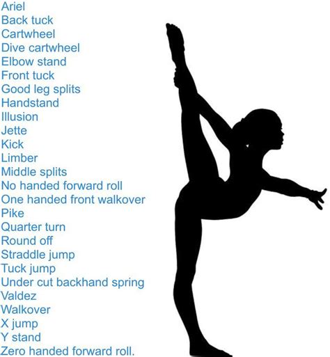 Gymnastics Stretches for Flexibility