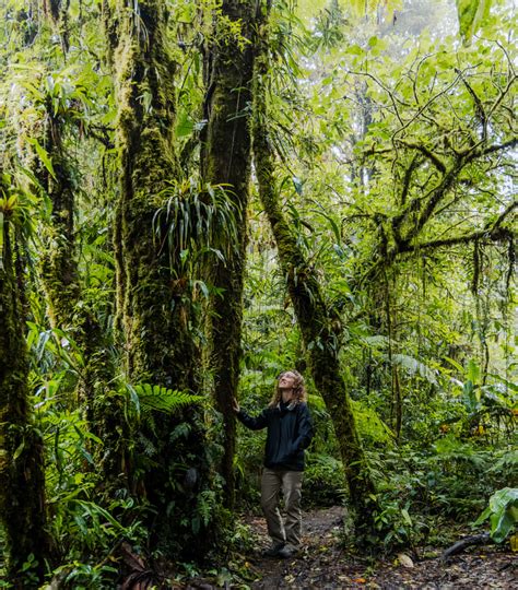 Santa Elena Cloud Forest Reserve: An Enchanting Wonderland | The Spunky Curl