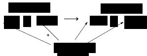 Balancing Chemical Reactions