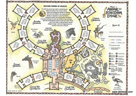 Printed Materials | Disney's Animal Kingdom Lodge Fansite