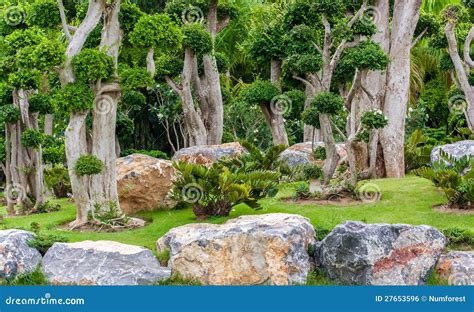 Rock garden stock photo. Image of beautiful, decoration - 27653596