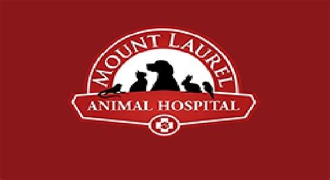 Mount Laurel Animal Hospital Renews Service For 5 Years - USA Phone