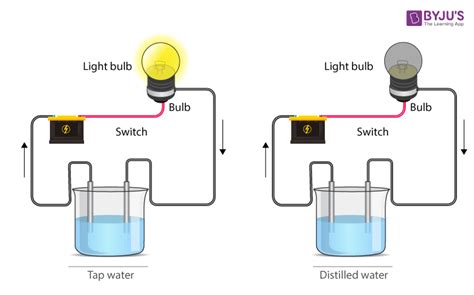 Class 8 Science Chapter 14 Notes with Chapter Questions