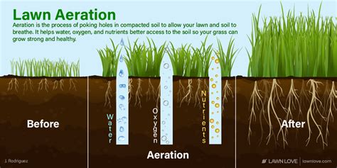 How To Fix A Waterlogged Yard - Daley Beirch