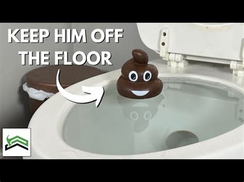 (226) 3 Ways To Stop A Clogged Toilet From Overflowing - YouTube ...