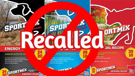 Beware! Here Are 10+ Pet Foods Recalled By FDA 2021