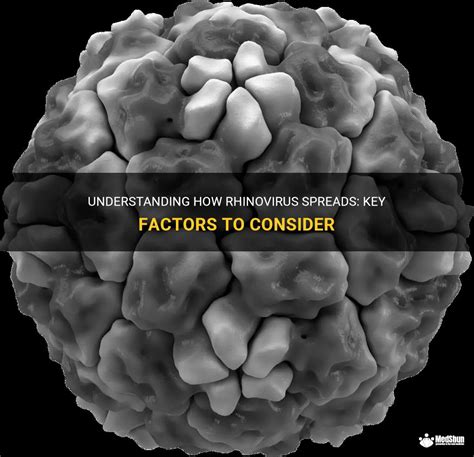 Understanding How Rhinovirus Spreads: Key Factors To Consider | MedShun