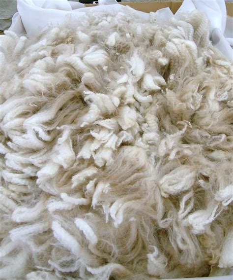 Alpaca fiber - Wikipedia