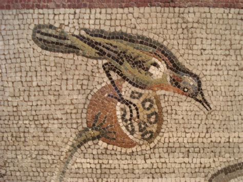 A finer bird from the Aquatic Mosaic, Pompeii, now in the Naples Museum. | Roman mosaic, Pompeii ...