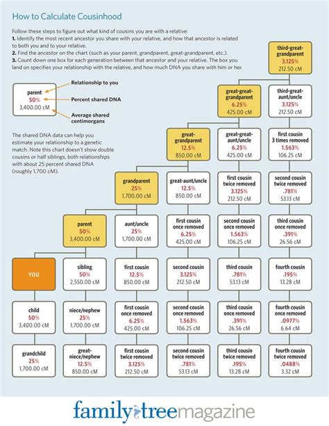 What Is a Second Cousin? Understanding Cousin Relationship Terms ...