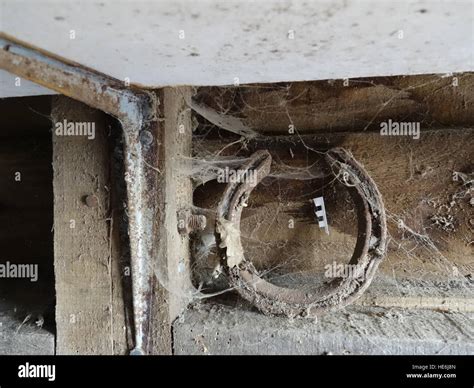 Old dusty, creepy objects covered in cobwebs and dust Stock Photo - Alamy