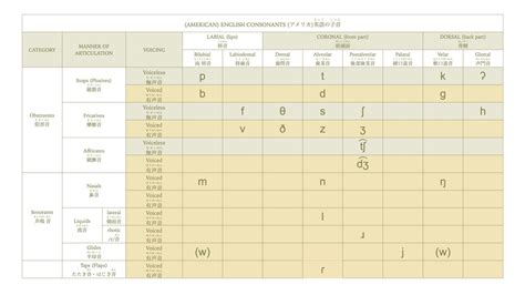 American English Consonant Chart IPA Diagram | Quizlet