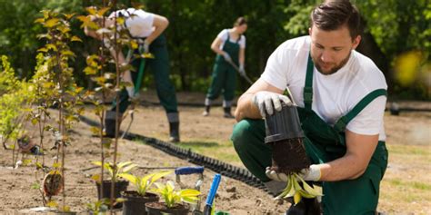 What to Expect from a Landscape Horticulturist Program – academida.com