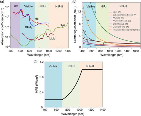 (a) Absorption coefficient spectra of endogenous tissue chromophores at ...